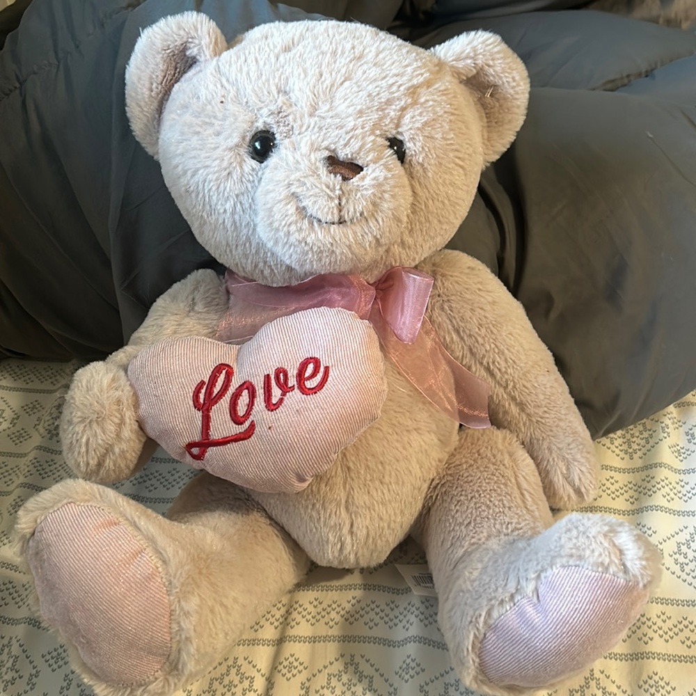 ADORABLE Teddy Bear